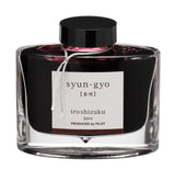 Iroshizuku Tinte PILOT - 16 Varianten