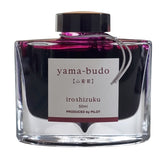 Iroshizuku Tinte PILOT - 16 Varianten