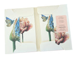 tulpe schmucklilie karten set
