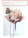 Grußkarten Set FLORAL -ANSICHTSEXEMPLAR-