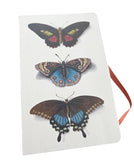 Notizbuch BUTTERFLY A6