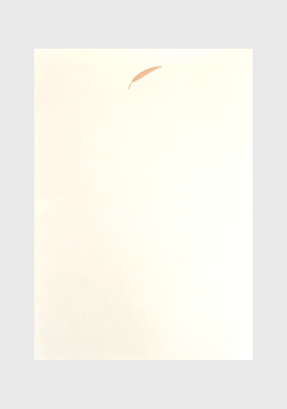 Notizblock A5 PALME orange